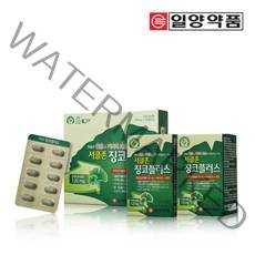 일양약품 서클존징코플러스 은행잎추출물 혈행개선 기억력개선 4개월