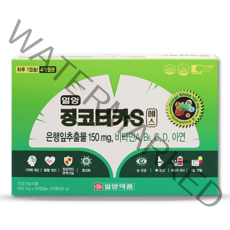 일양약품 징코티카S 120캡슐 은행잎추출물