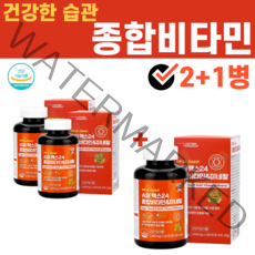 종합비타민 바이타민 활성 비타민 VITAMIN 미네랄 판토텐산 나이아신 기운없을때 몸이 피곤할때 링곤베리 고3 수험생 약국 홈쇼핑 코발라민 리보플래빈 티아민 폴산, 2+1병