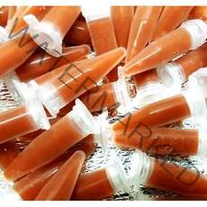 브라인슈림프 튜브 40개 (구피 안시 플래티 디스커스 열대어먹이 특허등록 브라인쉬림프 부화 냉브)