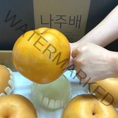 스테비아급 나주배 햇배 원황배 신고배 가정용 선물용 나주특산물, 가정용 5kg (8-10과)