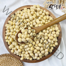 특품 2021년 햇 백태 대원콩 메주콩 대두 두부콩 국내산, 1개, 4kg(2kg+2kg)