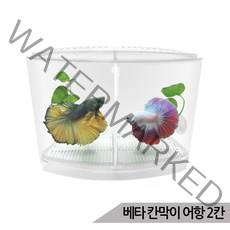 아마존 2분할 베타 칸막이 어항 (K-4) 2칸