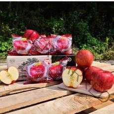 아삭아삭 실속형 세척사과 2.5KG 3KG 5KG, 실속형 세척사과 3KG (15~20과)