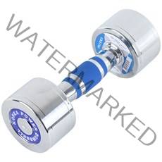 스포뱅크 고밀도 크롬도금아령, 4kg, 1개