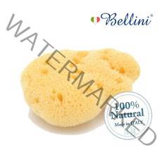 벨리니 [Bellini Natural Seasponge] 천연해면 실크파인 FD18, 단품없음