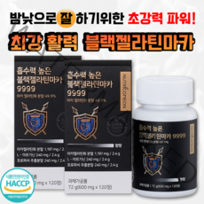 블랙마카 아르기닌 남성 활력제 페루 마카 젤라틴화 분말 호로파씨 뉴트리커먼 블랙젤라틴마카 9999, 2박스