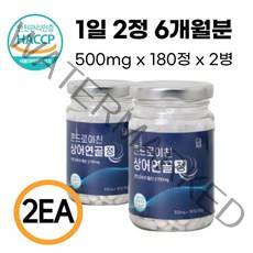 콘드로이친 1200 식약처 인증 HACCP 캡슐 남성용 여성용 복합영양제 유리병 3개월분, 콘드로이친 6개월분 360정