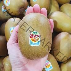 뉴질랜드 제스프리 썬골드 왕점보 골드키위 개당 200g 내외, 2.5kg