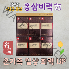 정관장 홍삼비력 6년근 50ml 30포 + 쇼핑백, 1개