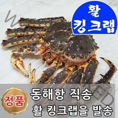 A급 최상급 러시아산 활 박달 대게 킹크랩 랍스터_생물 자숙 찜 선어 1~5kg 선택구매 수율 80~90%내외, 생물(활) 킹크랩, 3kg