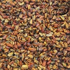 인생건어물 건홍합 200g/500g, 200g