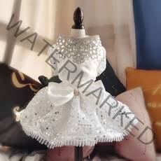 퀸 반려동물 웨딩드레스