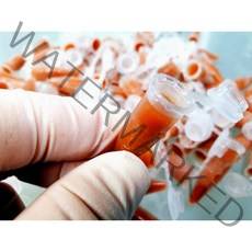 가우스브라인쉬림프 튜브 50개 (4세트 택비무료 2셋 보관통) 열대어먹이 특허등록 냉브 아스타잔틴브라인슈림프