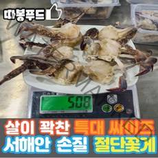 [당일발송] 서해안 살꽉찬 특대사이즈 프리미엄 손질 절단꽃게(급냉) 500g팩, 2번) 절단꽃게 1kg(2팩)