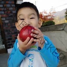금가네꿀사과 고당도 경북영주사과 부사 미얀마 미시마 소백산 안동 대구 부석사과 10kg, 부사 정품10KG(38~42과) 중소과
