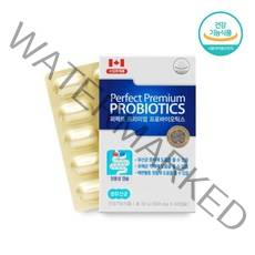 캐나다 모유 유산균 lgg 프로바이오틱스 500억 투입 100억 보장 신바이오틱스, 30g, 1box