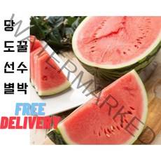 엘리든 프리미엄 당도선별 고당도 꿀 수박 특대과 6-7kg 당일수확, 3-4kg
