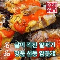 국산 암꽃게 알배기 선동 숫꽃게 급냉 암게 간장 게장용 가을 봄 연평도 태안, 봄 알 암꽃게 1kg(6~7미 내외)게장용