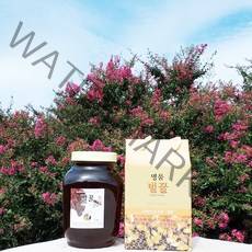 밤꿀 2.4kg 지리산다옴