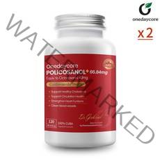 프리미엄 쿠바산 폴리코사놀 66.82mg 120캡슐 2개 (사은품증정) 쿠바 사탕수수 옥타코사놀 콜레스테롤 개선 고지혈증 심혈관 혈액순환 혈관영양제