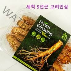 5년근 고려인삼 부모님 명절 선물세트 인삼차