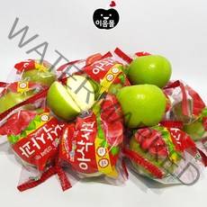 [이음몰] 2022 아삭 아오리 세척사과 2.5kg, 1box, 1_세척아오리 2.5kg가정용[소~꼬마](15~18)
