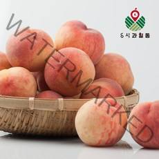 당일수확 달콤한 복숭아 털복숭아 백도 선별과, 복숭아 2kg (8-11과 내외)