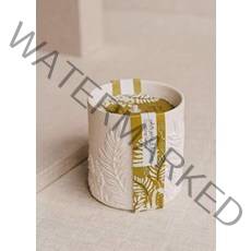The Cottage Greenhouse 세라믹 캔들 화이트 파인 발삼, 12 oz / 340 g_White Pine Balsa
