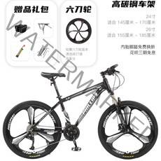 영국 필립스 산악 티타늄자전거 사바파이크 팻바이크 자이언트 mtb 스타일 style, 24 단한 바퀴 스틸K, 24인치