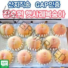 산지직송 장호원 햇사레 복숭아 3kg 황도 백도 가정용 선물용 GAP인증, 선물용3kg_9_10과