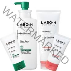 (아모레퍼시픽)라보에이치 프로바이오틱스 탈모증상완화 샴푸 두피강화 400ml+트리트먼트 200ml+증정(샴푸50ml+트리트50ml), 1세트