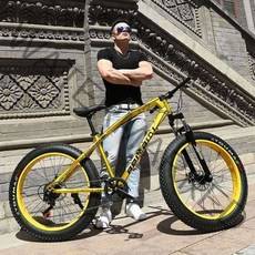 도시 산악용 광폭 타이어 자전거 팻바이크 26인치, 24단 스타 블루 26인치