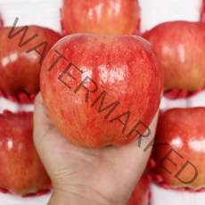 22년 햇 청송 사과 꿀사과 홍로 홍옥 부사 3kg 5kg 10kg, 가정용홍로 5kg 랜덤