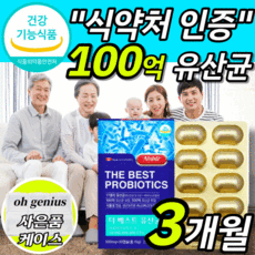 [옵션2중택1]1. 비에날씬 비엔알씬 bnr17 비에날17 비엔알17 비에날신 비엔알신 2. 백억 100억 lgg 엘지지 생 유산균 프로바이오스틱 비피더스 균 임산부 건강기능식품, lgg 100억 유산균 30캡슐X3 3개월