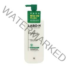 라보에이치 프로바이오틱스 탈모 증상 완화 샴푸 두피강화, 400ml, 2개
