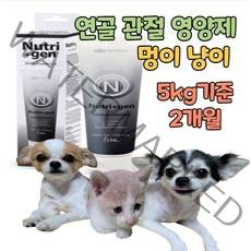 애견 관절 영양제 고양이 강아지 대형견 노령묘 노령견 노령기 글루코사민 msm 초록입홍합 피쉬 콜라겐 콘드로이친 초록잎홍합 이소플라본 연골 건강 에좋은 보조제, 1개