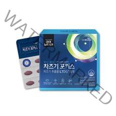 대상웰라이프 차즈기 포커스 추출물 눈에좋은 눈영양제 L7DG 식물성 차조기 자소엽 X 30캡슐 1박스