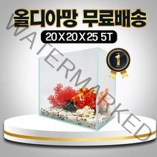청룡아쿠아 20하이큐브 올디아망 20X20X25cm 5T 초백어항 매트사은품