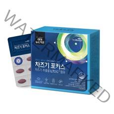 대상웰라이프 차즈기 포커스 1박스 추출물 모양체 루테올린 배당체