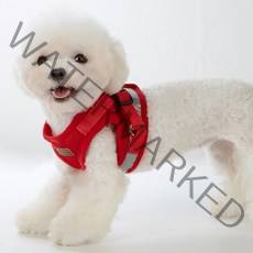 지앤비 미즈펫 야간 빛 반사 세이프 강아지 하네스 + 리드줄, 레드