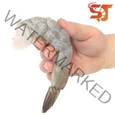 생 칵테일새우 900g (왕특대) 32-40미 깐새우 감바스용, 1개