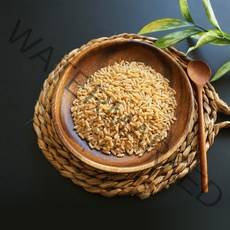 건강앤 2022년 생산 터키산 호라산밀 1kg 3kg 5kg