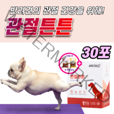 강아지 관절 튼튼 영양제 슬개골 탈구 예방 소형견 대형견 노견 노령견 콘드로이친 콘드로이틴 개 글루코사민 MSM 오메가3 장 건강 면역력 케어 반려견 애견 애완견 조인트 약1달, 1박스