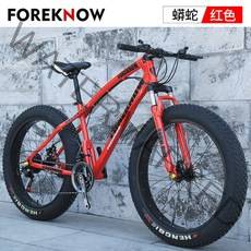 풀샥 MTB 자전거 고급 오프로드 두꺼운 타이어, 디자인 4_24단_26 인치