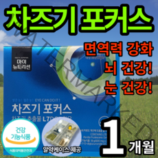 대상 웰라이프 마이뉴트리션 차즈기 포커스 30캡슐 식약청 인증 100% 식물성 원료 차즈기 100% 국내산 눈 건강 면역력 강화 혈관 건강 피부 미백 뇌 건강 혈관 건강 도움