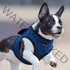 퍼피아 강아지 소프트 베스트 하네스 AH305 B스타일, 로얄블루