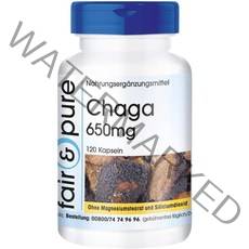 독일직구 차가 캡슐 650mg (이노노투스 오블리쿠스) 내추럴 비건 120캡슐, 수량, 상세참조