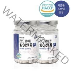 콘드로이친 관절 건강 상어 무릎 뼈 건강 보스웰리아 초록입홍합 함유 부모님 선물 추천, 콘드로이친 2개 (6개월)