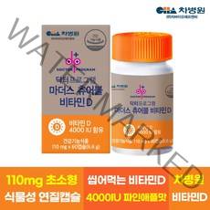 차바이오 닥터프로그램 마더스 츄어블 비타민D 4000IU 60캡슐 차병원 비타민D, 1개
